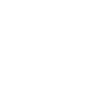 Chiropractic Adjustment